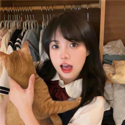 极品闺蜜2019粤语 在线观看